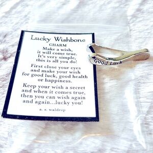 GANZ vintage y2k lucky wishbone charm good luck silver pocket card graduation